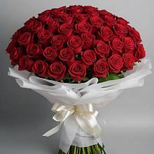 Букет 101 Красная роза Блэк Мэджик в Кузяево