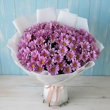 Букет цветов из:  Хризантемы в Кузяево