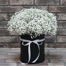 Цветочная композиция из Гипсофила в шляпной коробке #REPLACE_PRED# Кузяево