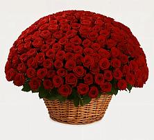 Премиум букет из: Розы в Кузяево